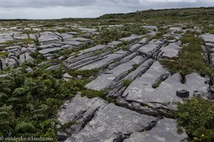 Typische Steinplatten von Inishmore bei Dun Aengus