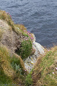 Es geht steil bergab beim Kinbane Head