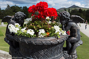 Blumentopf im Powerscourt Garden