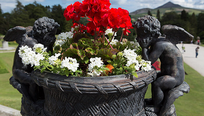 Powerscourt Gardens & Waterfall