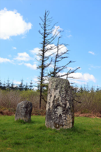 Clodagh Standing Stones im County Cork