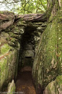 die Hexenküche beim Schloss Blarney