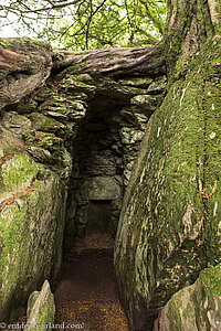 die Hexenküche beim Schloss Blarney