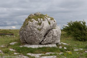 Parknabinnia Dolmen auf dem Burren