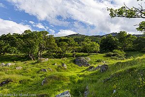 An der Murlough Bay im County Antrim