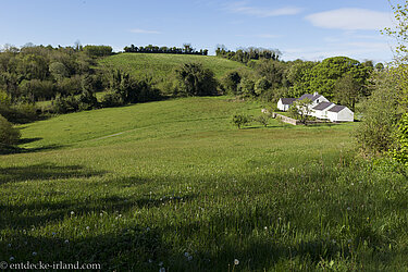 Die Aussicht vom Tully Castle