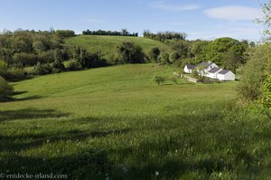 Viel grüne Landschaft im County Fermanagh