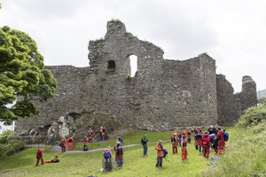 das King John's Castle von Carlingford