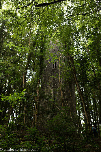 Guinnes Tower im Cong Forest