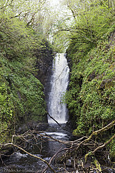 Die Cranny Falls