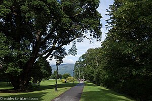 im Garten beim Muckross House