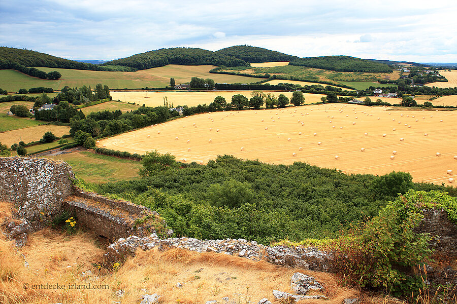 Aussicht vom Rock of Dunamase über Felder und Wälder im County Laois
