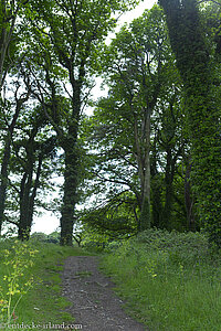 Spazierweg von Robb mit der Heilerin Talisa - Castle Ward