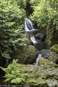 kleiner Wasserfall beim Spinkwee River im Tollymore Forest Park