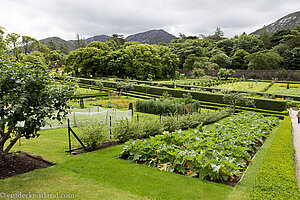 im Küchengarten der Kylemore Abbey