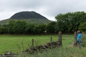 der Slemish Mountain am Ende von Glenarm - Glencloy
