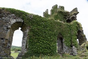 Mit Efeu überwuchert, die Ruine des Ballycarberry Castle
