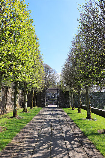 von Bäumen geschmückte Allee zur oberen Terrasse der Heywood Gardens